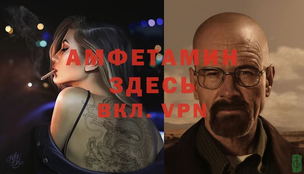 гидра Арсеньев