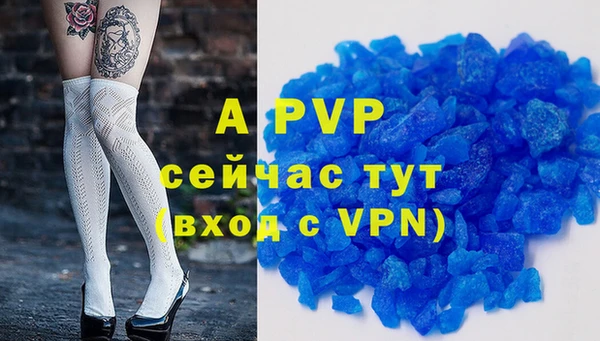 гидра Арсеньев