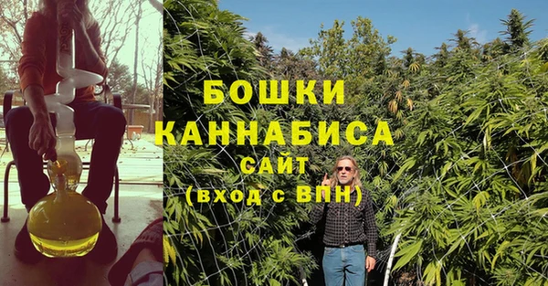 гидра Арсеньев