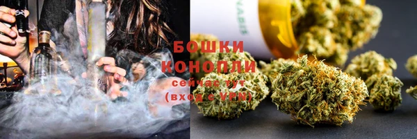 гидра Армянск