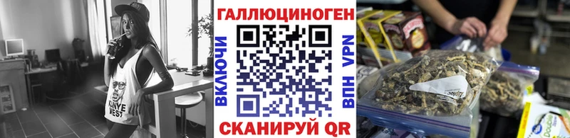 Псилоцибиновые грибы ЛСД  купить наркотик  Тайшет 